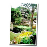 Тропический сад Бурле Маркса