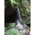 Тижука - тропический лес и водопады на джипе